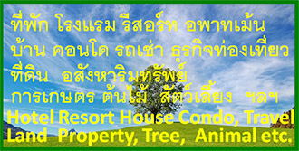ขายที่ดินทั่วไทย